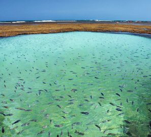 Porto de Galinhas