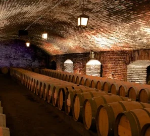 Vinicola Concha y Toro